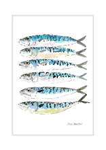 Load image into Gallery viewer, Mackerel #1P
