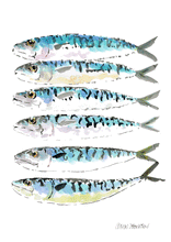 Load image into Gallery viewer, Mackerel #1P
