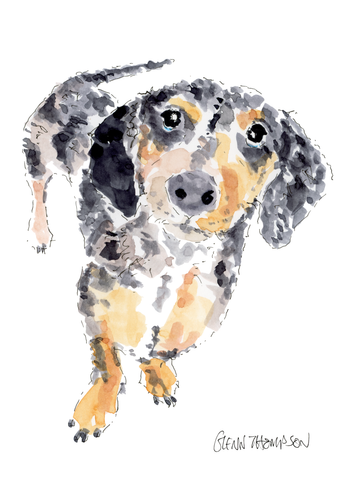 A Dachshund Glenn Thompson watercolour