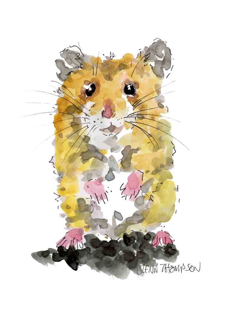 Colorful illustration of a hamster on a white background. A Glenn Thompson print.