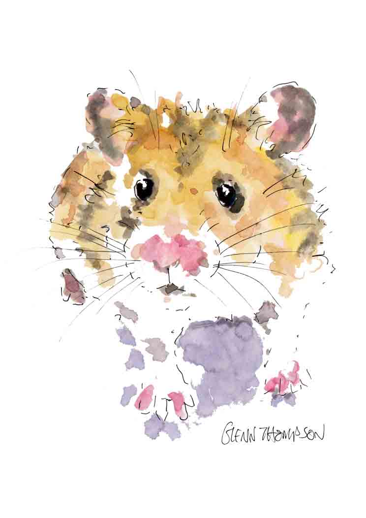 A cute hamster. A Glenn Thompson print.