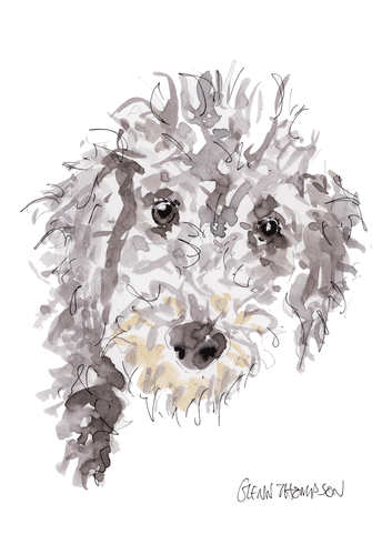 A Bedlington Terrier watercolour by Glenn Thompson