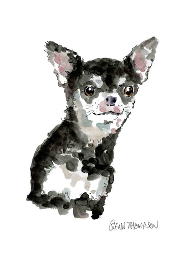 A Chihuahua a Glenn Thompson print