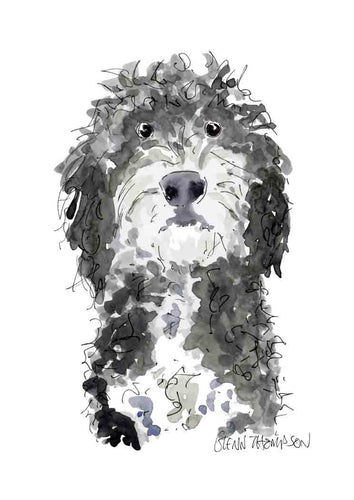 Cockapoo a Glenn Thompson Print