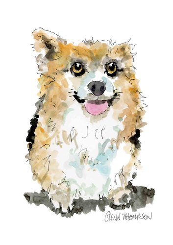 A Corgi a Glenn Thompson print