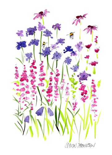 Wild flowers and bees watercolour by Belfast Artist Glenn Thompson