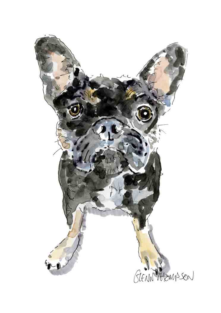 French bulldog 2 a Glenn Thompson Print