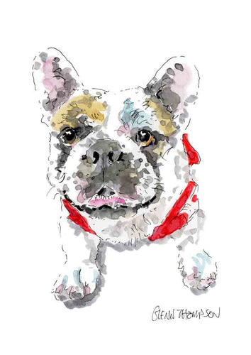 French bulldog a Glenn Thompson Print