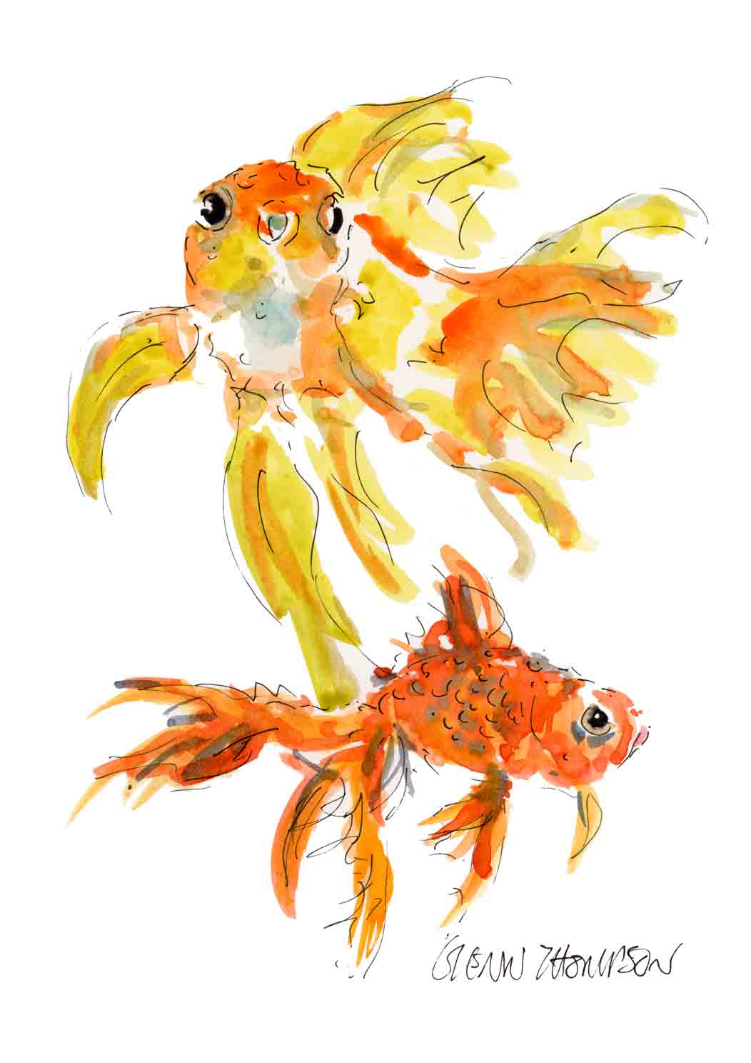 Goldfish a Glenn Thompson watercolour
