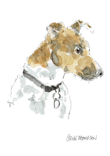 Jack Russell Terrier watercolour by Glenn Thompson