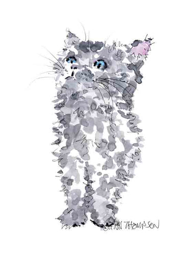 Kitten a Glenn Thompson Print