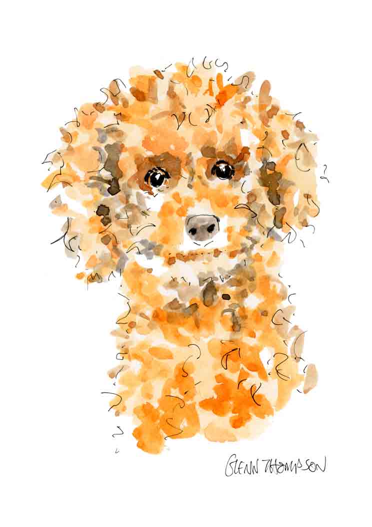 A golden poodle a Glenn Thompson print