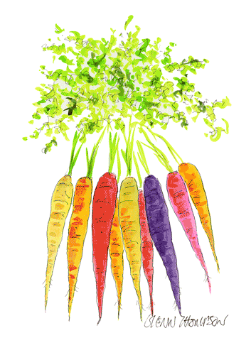 Colourful carrots a Glenn Thompson Print
