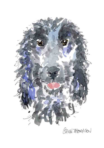 Spaniel black a Glenn Thompson Print