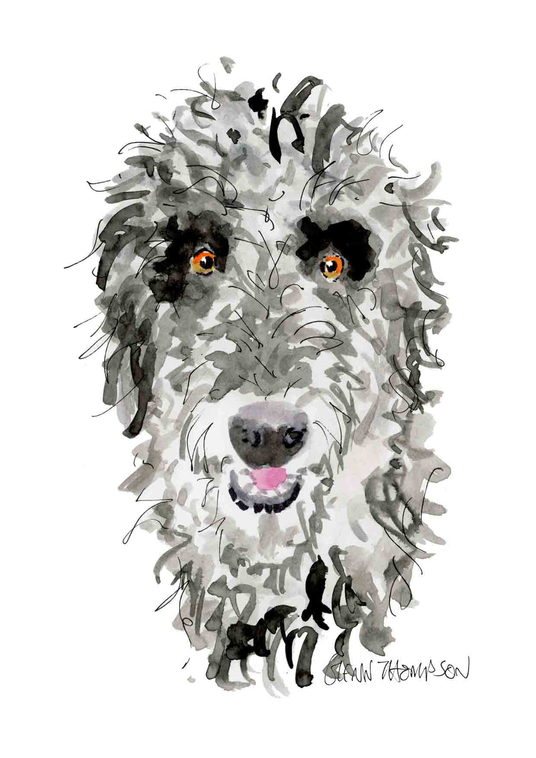 An Irish Wolfhound a Glenn Thompson print