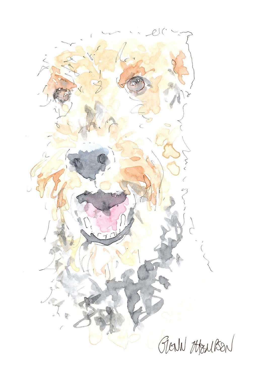Airedale watercolour - by artist Glenn Thompson from Belfast Northern Ireland