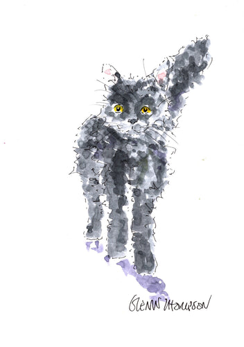 Black cat with fluffy tail a Glenn Thompson print