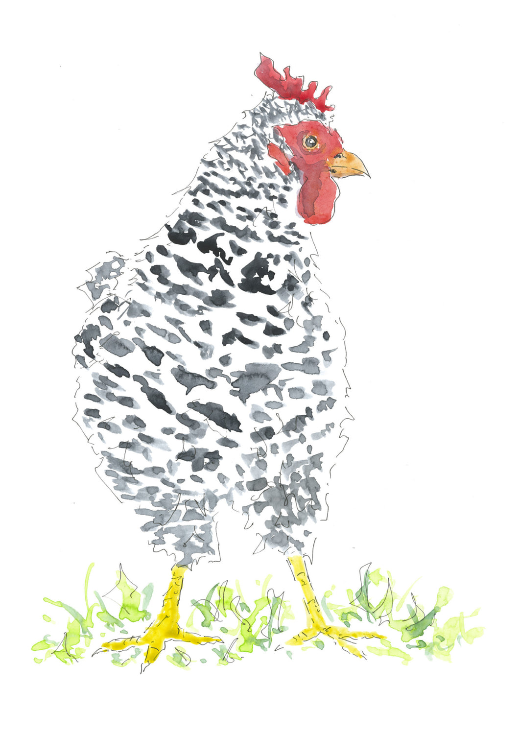 Speckeled hen