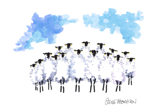 Cloud sheep from Northern Ireland a Glenn Thompson print