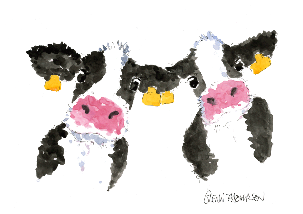 Two cows from Northern Ireland a Glenn Thompson print