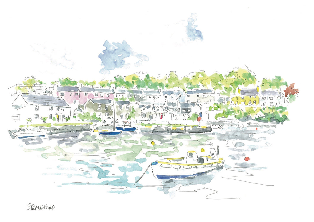 Strangford - Northern Ireland